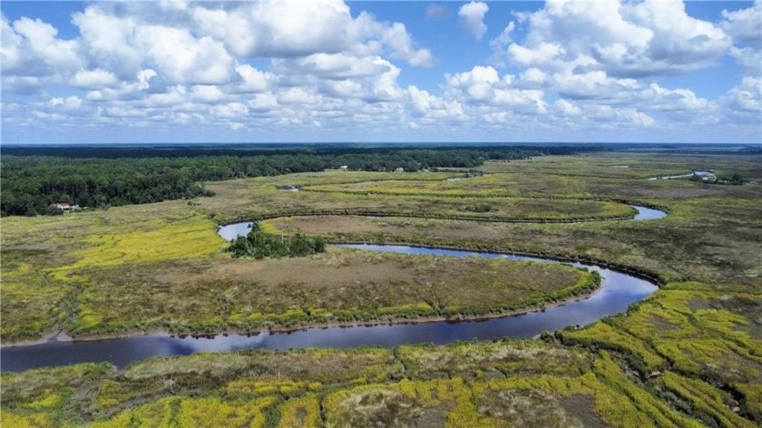 As you enter the gates, you'll feel how special this place is! - Beach Lot for sale in Darien, Georgia on Beachhouse.com