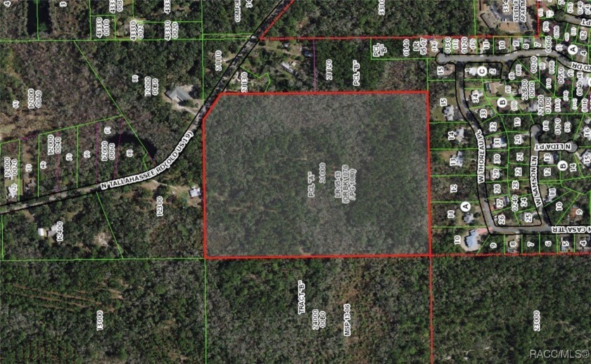 Beautiful wooded property just off Hwy 19. Unlimited potential - Beach Acreage for sale in Crystal River, Florida on Beachhouse.com