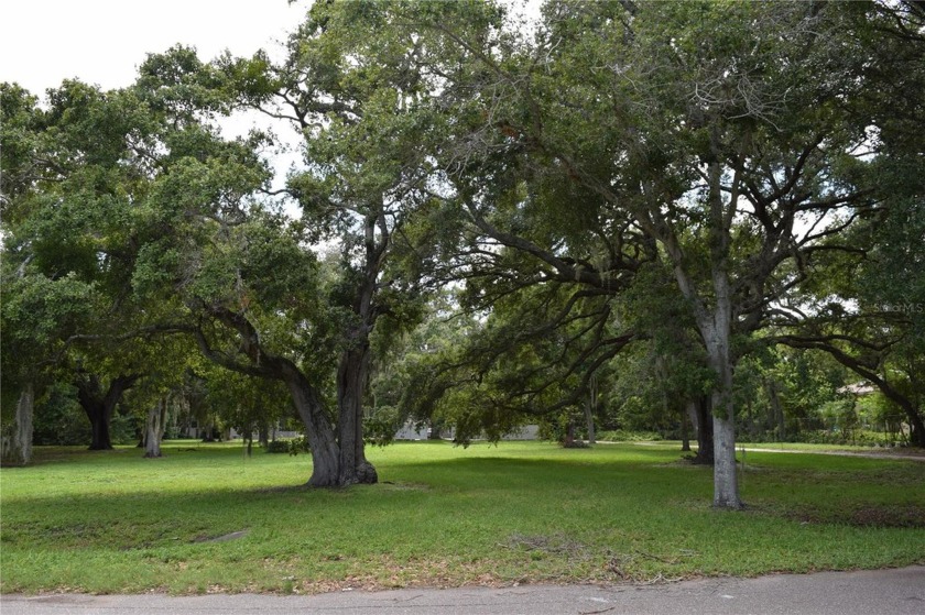 Build your dream home on this almost 1/2 Acre gorgeous vacant - Beach Lot for sale in Clearwater, Florida on Beachhouse.com