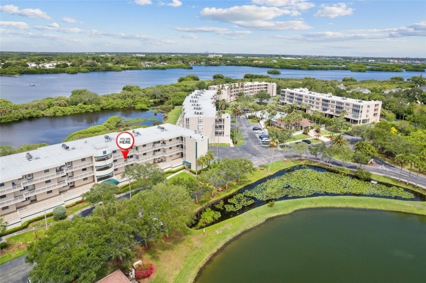 Updated, immaculate, bonus room + a garage!  Views sell it! - Beach Condo for sale in St. Petersburg, Florida on Beachhouse.com