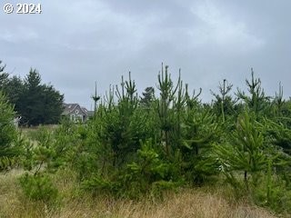 Three Lots situated on the West side of the Canal in Surfside - Beach Lot for sale in Ocean Park, Washington on Beachhouse.com