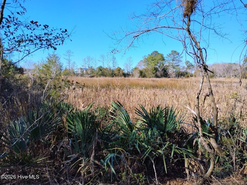 This getaway will connect you with nature!! Enjoy kayaking - Beach Acreage for sale in Merritt, North Carolina on Beachhouse.com
