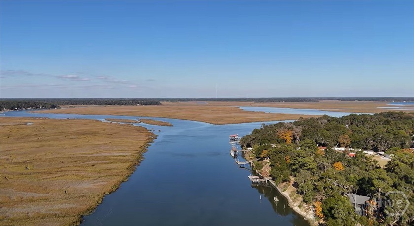 5.23 acres of classic coastal beauty on the Sapelo River - Beach Home for sale in Townsend, Georgia on Beachhouse.com