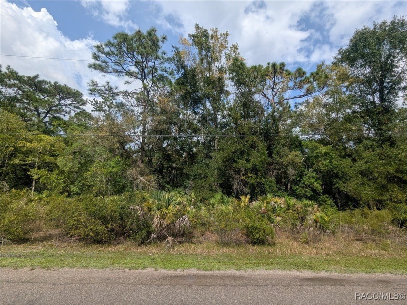 1.01-Acre Homesite in Crystal River, FL - Peaceful Natural - Beach Lot for sale in Crystal River, Florida on Beachhouse.com