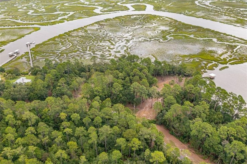 DEEP WATER LOCATION, LOCATION, LOCATION! This is a rare - Beach Lot for sale in Townsend, Georgia on Beachhouse.com