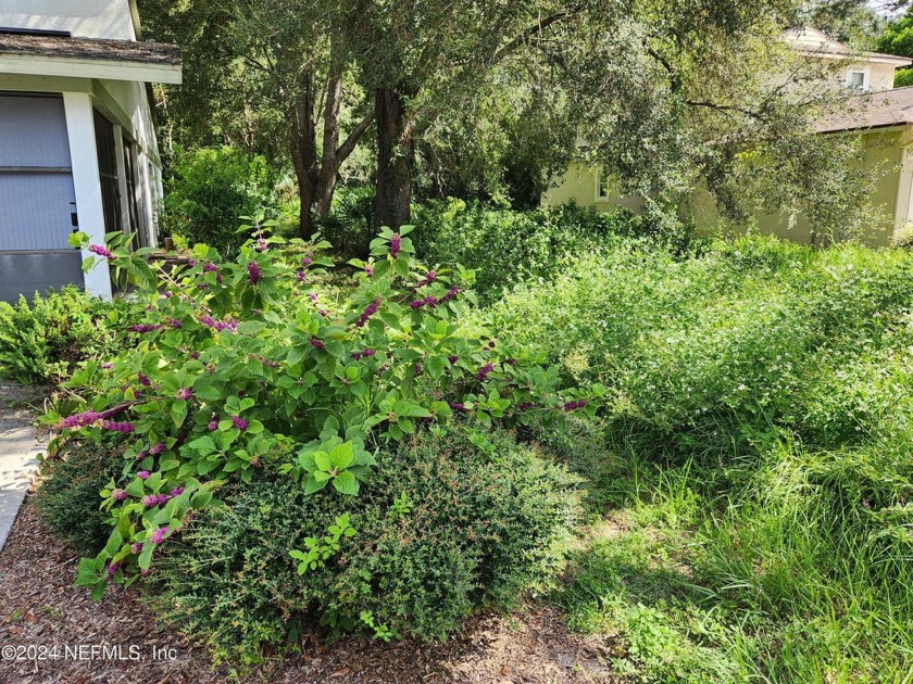 Vacant lot among patio homes with garages. See realty sign.  
 - Beach Lot for sale in Homosassa, Florida on Beachhouse.com