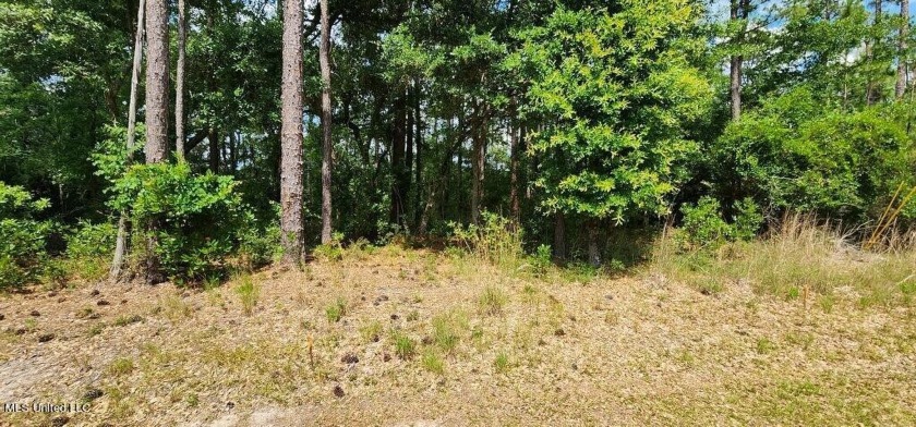 Large beautiful lot to build your dream home or build 2 homes - Beach Lot for sale in Diamondhead, Mississippi on Beachhouse.com