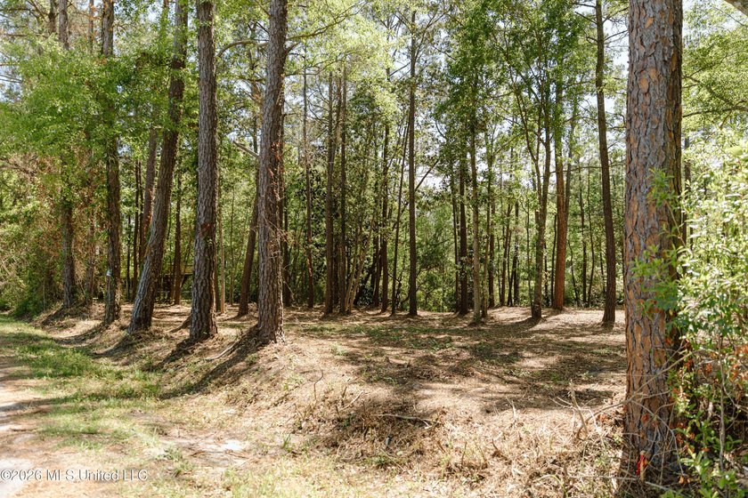 Your search for deep-water access in South Gautier is over! This - Beach Lot for sale in Gautier, Mississippi on Beachhouse.com