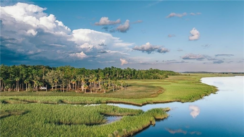 Dover Hall is a breathtaking slice of Heaven on Earth - Beach Acreage for sale in Brunswick, Georgia on Beachhouse.com