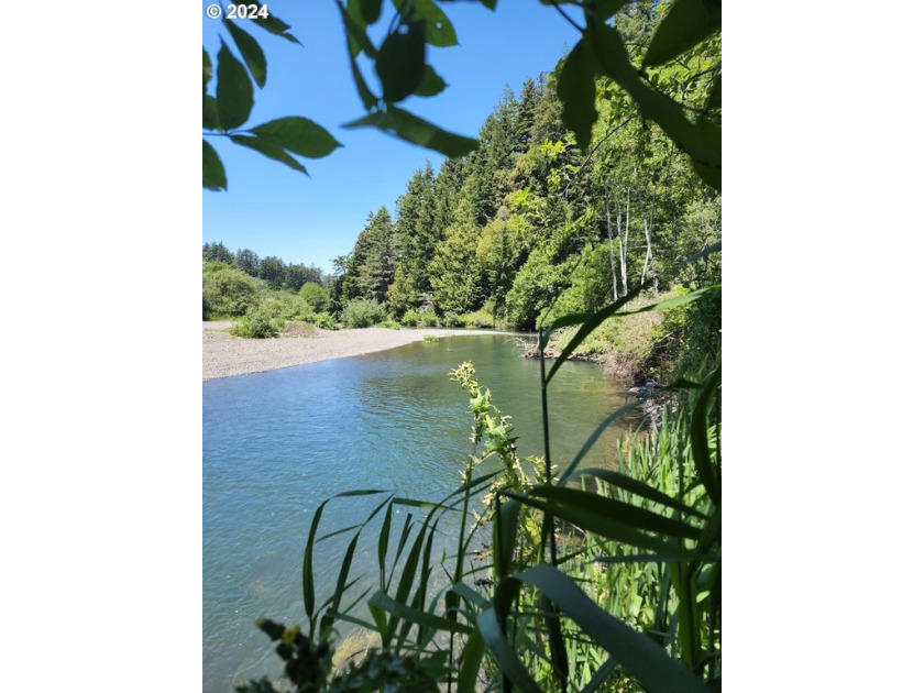 This beautiful 5.6 acre lot is a nature lover's dream! Bordering - Beach Lot for sale in Gold Beach, Oregon on Beachhouse.com