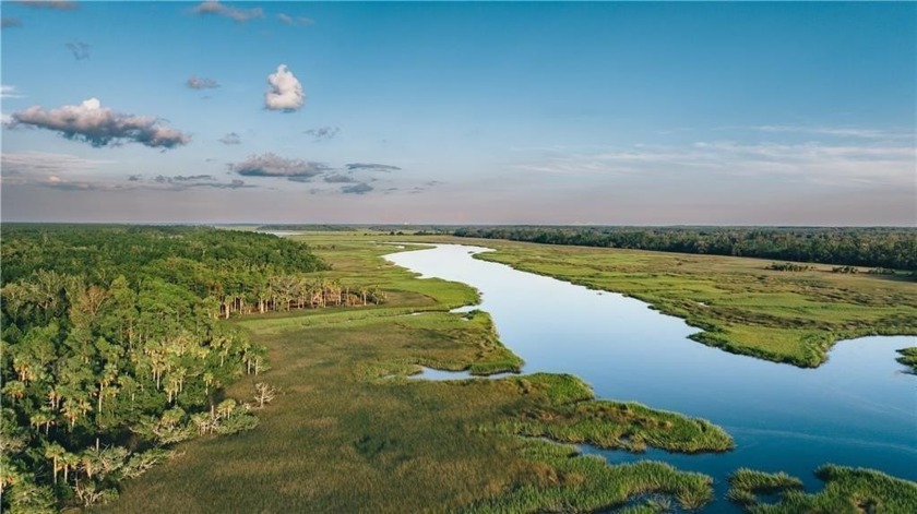 This 203 acre Recreational Easement with a 13 acre out parcel - Beach Acreage for sale in Brunswick, Georgia on Beachhouse.com