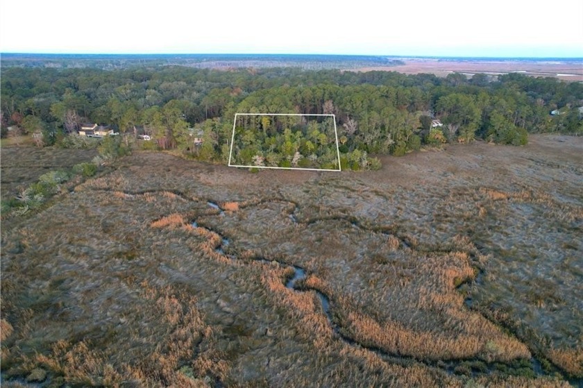 Free to show anytime. Land has lots of overgrown brush as it has - Beach Lot for sale in Brunswick, Georgia on Beachhouse.com