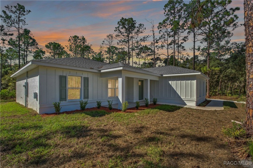 Seller Offering $5k Credit to Buyer! Brand New Constructed Home - Beach Home for sale in Crystal River, Florida on Beachhouse.com