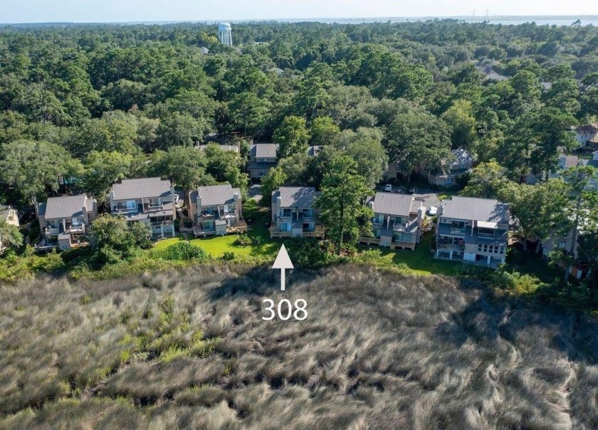 Marsh, marsh, marsh views galore! So beautiful & tranquil--rain - Beach Condo for sale in Saint Simons, Georgia on Beachhouse.com