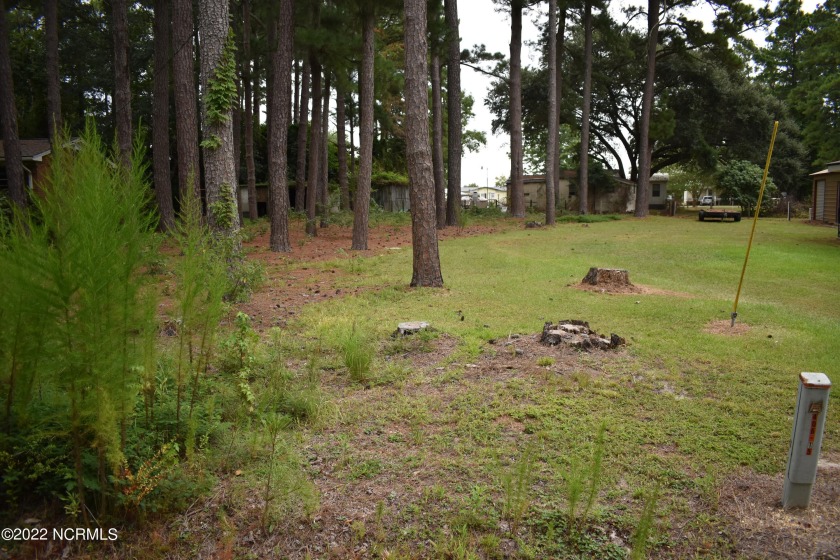 Welcome to Crystal Beach! This is your chance to be part of a - Beach Lot for sale in Blounts Creek, North Carolina on Beachhouse.com
