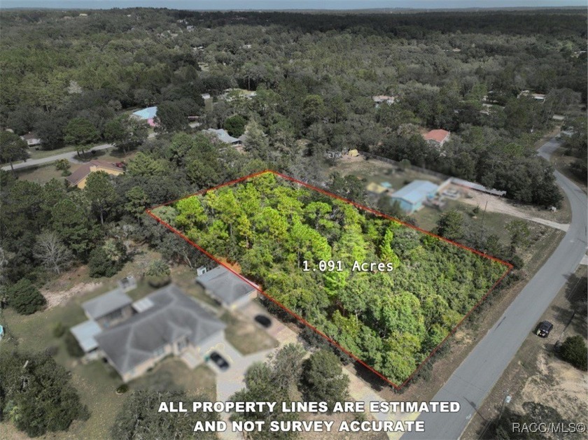 1.091-acre flat, dry, buildable lot in Homosassa with no HOA - Beach Lot for sale in Homosassa, Florida on Beachhouse.com