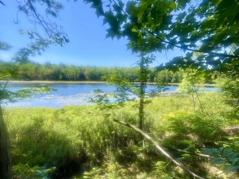 Escape to Your Own Piece of UP Heaven Between 1st and 2nd Bass - Beach Acreage for sale in Marquette, Michigan on Beachhouse.com