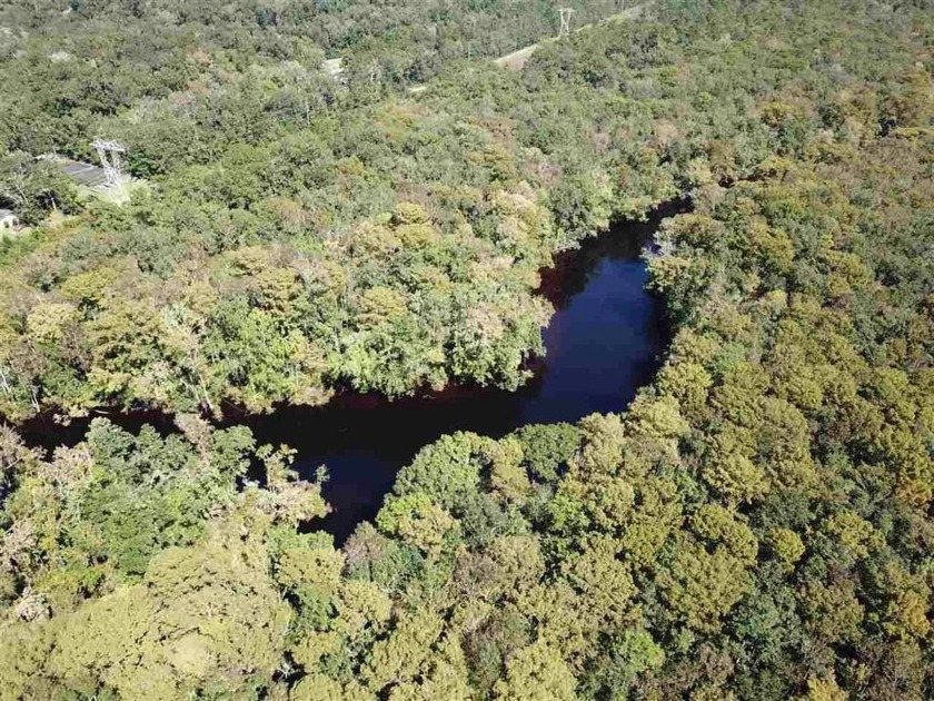 Large acreage tract on the Wakulla River! Privacy, river - Beach Acreage for sale in Crawfordville, Florida on Beachhouse.com