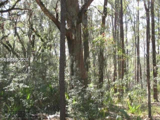 Mature magnolia and live oak trees are abundant on this .575 - Beach Lot for sale in Okatie, South Carolina on Beachhouse.com