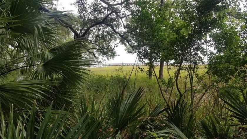 Discover the perfect setting for your coastal dream home on this - Beach Lot for sale in Townsend, Georgia on Beachhouse.com