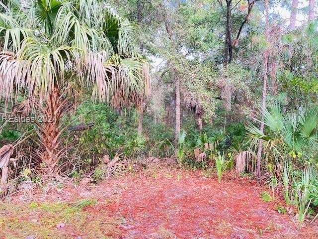 This spacious lot is located on a very private cul-de-sac in the - Beach Lot for sale in Saint Helena Island, South Carolina on Beachhouse.com