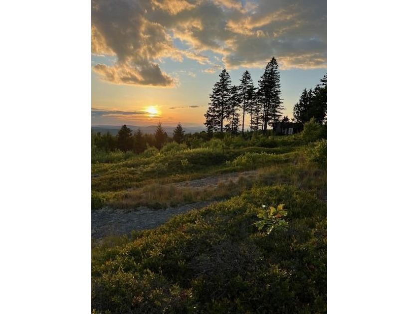 Discover a once-in-a-lifetime opportunity to own Mt. Ephraim, a - Beach Acreage for sale in Searsport, Maine on Beachhouse.com