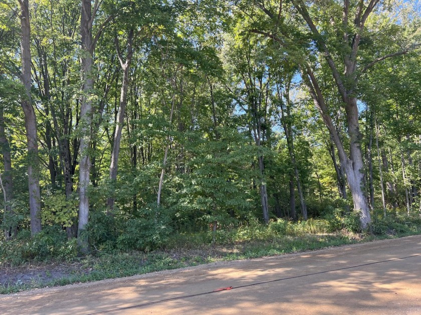 New Buffalo 5 acre wooded parcel is just a golf cart ride to - Beach Acreage for sale in New Buffalo, Michigan on Beachhouse.com