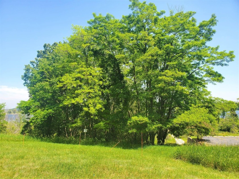 White Lake frontage lot in City of Montague. House plans - Beach Lot for sale in Montague, Michigan on Beachhouse.com