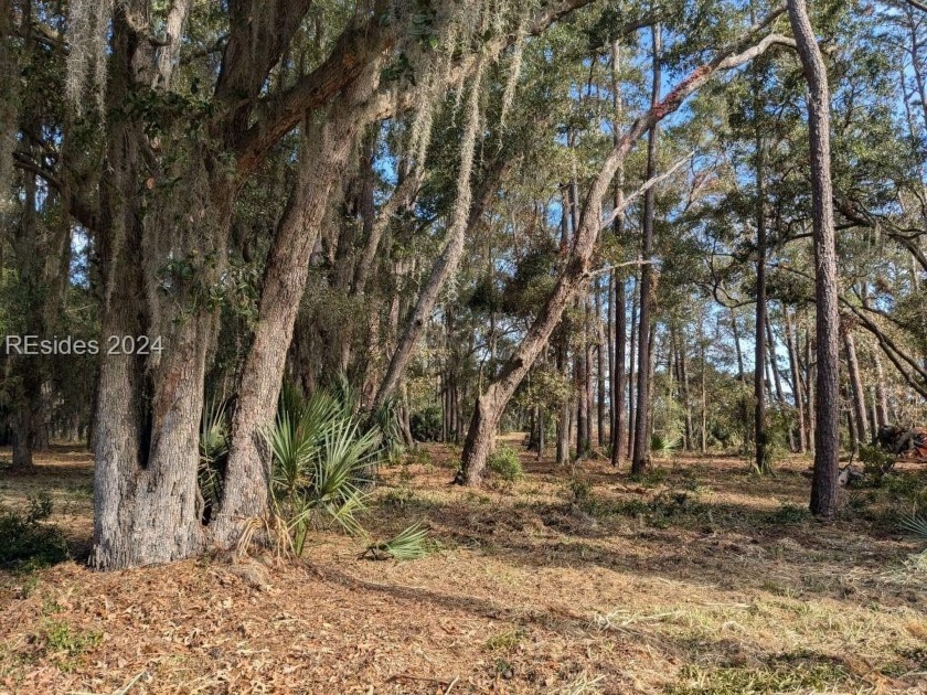 Bloody Point is located on the southern tip of Daufuskie and is - Beach Lot for sale in Daufuskie Island, South Carolina on Beachhouse.com