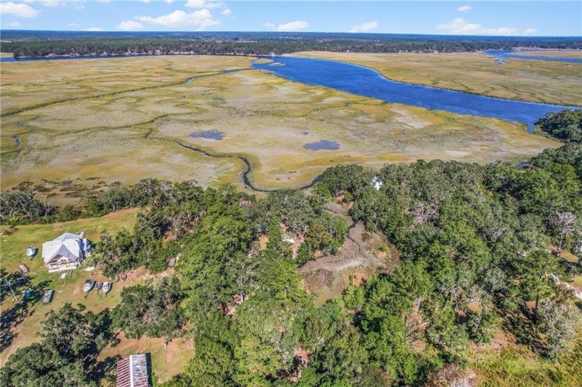 A spectacular coastal retreat with panoramic marsh and river - Beach Acreage for sale in Townsend, Georgia on Beachhouse.com