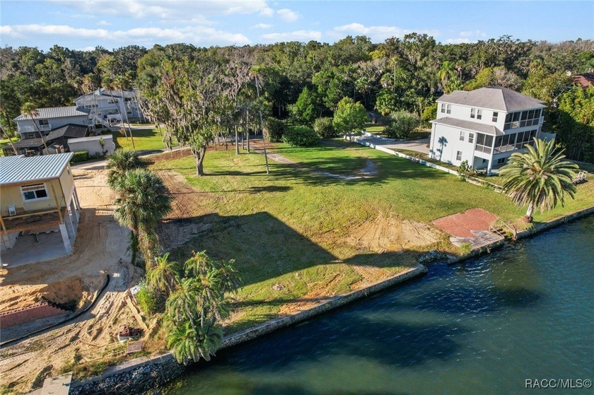 Come build the house of your dreams with the most amazing view - Beach Lot for sale in Crystal River, Florida on Beachhouse.com