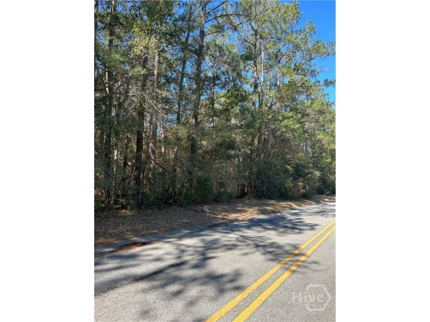 BEAUTIFUL 1.58 ACRE WOODED LOT IN DESIRABLE PINE ISLAND ESTATES - Beach Lot for sale in Midway, Georgia on Beachhouse.com