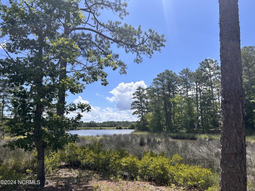 Waterfront paradise in Oriental, NC! Nestled within Oriental - Beach Acreage for sale in Oriental, North Carolina on Beachhouse.com