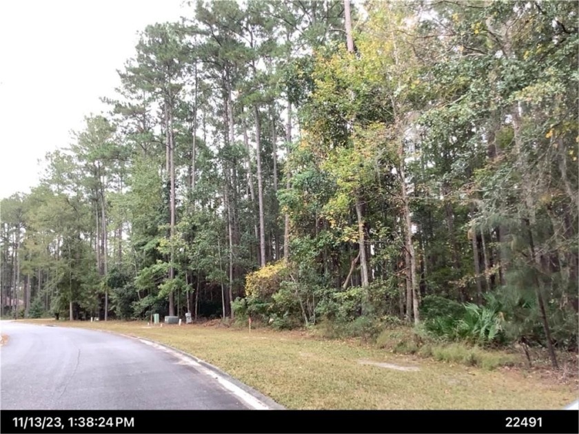 Beautiful Sanctuary Cove lot just waiting for a buyer to build! - Beach Lot for sale in Waverly, Georgia on Beachhouse.com