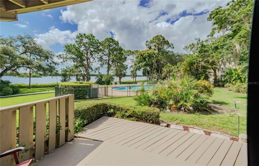 AWESOME WATERFRONT VIEW OF TAMPA BAY AND POOL FROM THIS GROUND - Beach Condo for sale in Clearwater, Florida on Beachhouse.com