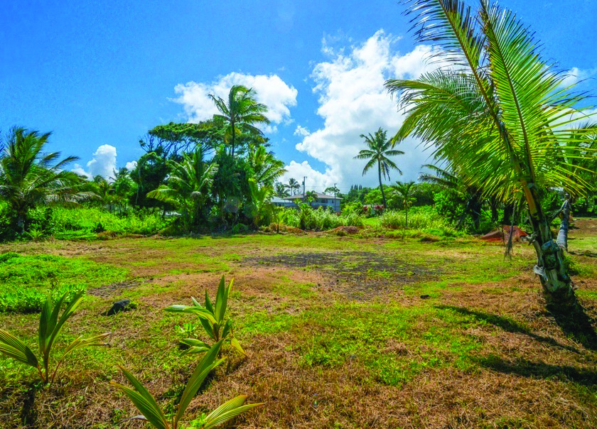 Pahoa Lot For Sale PAPIO ST HI 3016880