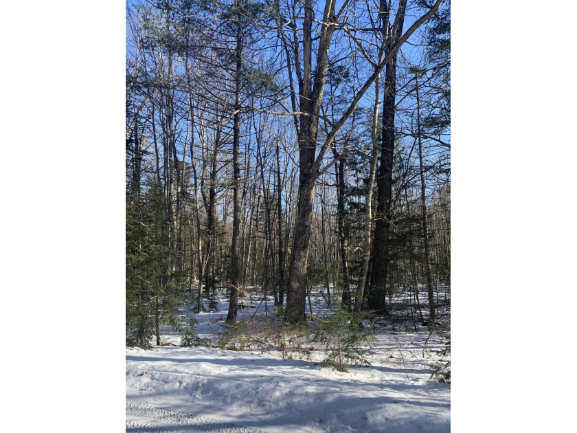 This land is located in the beautiful seaside town of - Beach Lot for sale in Lincolnville, Maine on Beachhouse.com