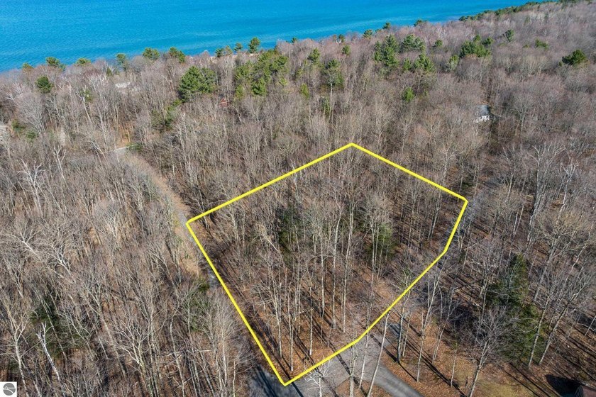 Gorgeous fully wooded flat building site walking distance to - Beach Lot for sale in Kewadin, Michigan on Beachhouse.com