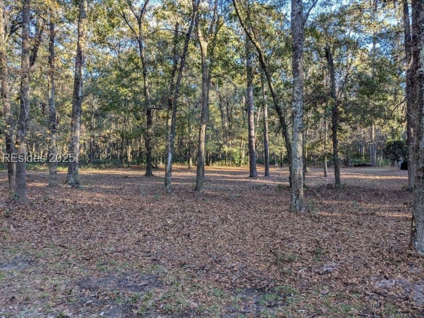 Beautiful, maintained .53 acre Melrose resort lot with mature - Beach Lot for sale in Daufuskie Island, South Carolina on Beachhouse.com