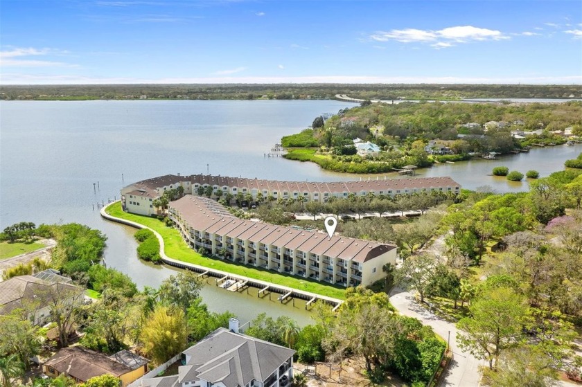 Newly Improved Price on this Move-In Ready Townhouse! This - Beach Townhome/Townhouse for sale in Oldsmar, Florida on Beachhouse.com