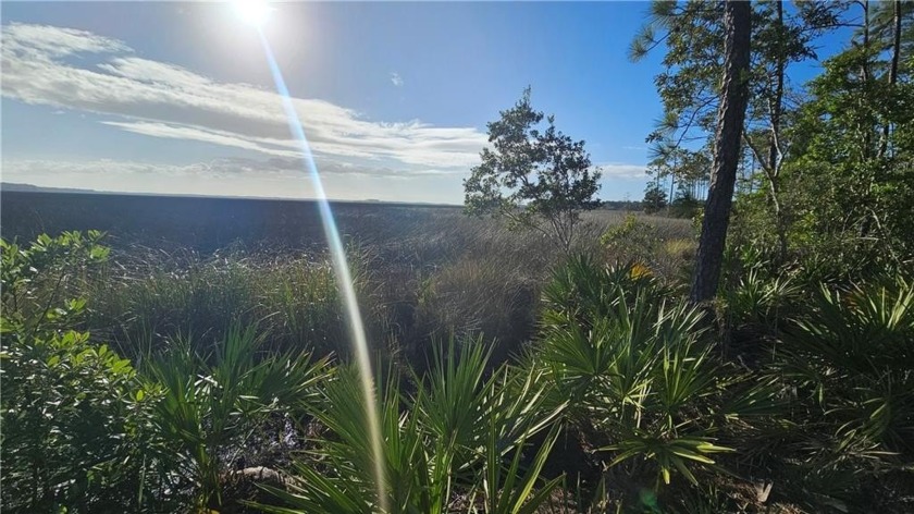 Discover the epitome of coastal living in this exclusive gated - Beach Lot for sale in Saint Marys, Georgia on Beachhouse.com