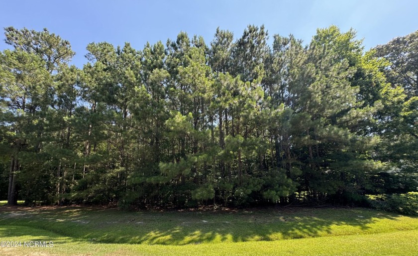 Private cul-de-sac homesite in the beautiful, and highly - Beach Lot for sale in Hertford, North Carolina on Beachhouse.com