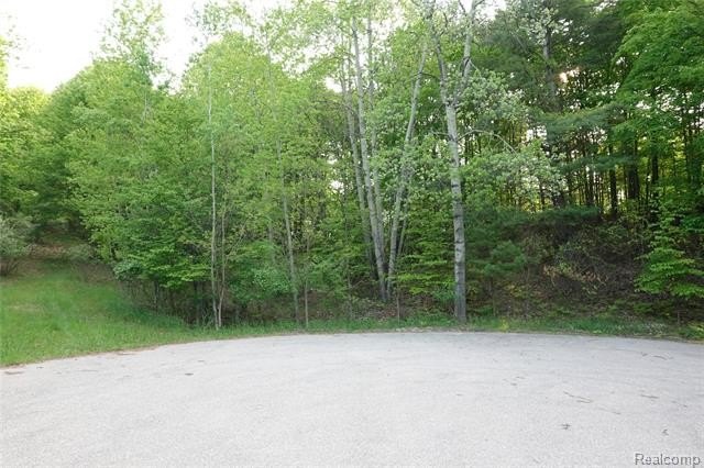 Discover your slice of paradise on world-renowned Torch Lake - Beach Lot for sale in Elk Rapids, Michigan on Beachhouse.com