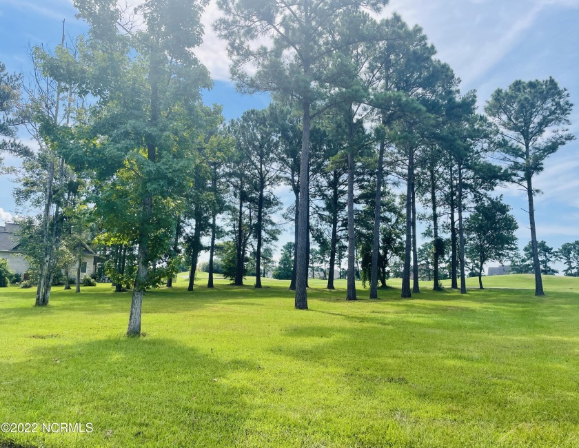 Imagine winding cart paths, willow and crepe myrtle branches - Beach Lot for sale in Calabash, North Carolina on Beachhouse.com