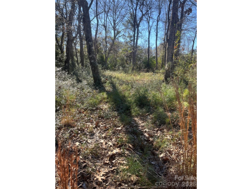 39 acre lot in Calabash, NC. This is a unique piece of property - Beach Lot for sale in Calabash, North Carolina on Beachhouse.com