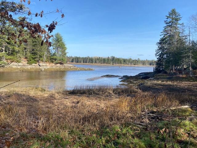 This is a great opportunity to own a peaceful waterfront - Beach Lot for sale in Gouldsboro, Maine on Beachhouse.com