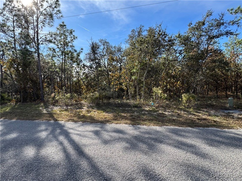 Build your home on this beautiful vacant lot in Sugar Mill Woods - Beach Lot for sale in Homosassa, Florida on Beachhouse.com