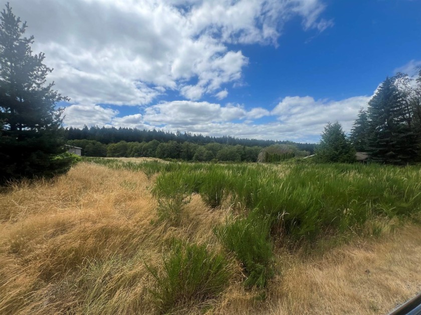 Discover a double building lot on the stunning Anderson Island - Beach Lot for sale in Anderson Island, Washington on Beachhouse.com