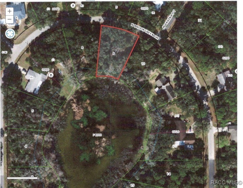 Cedar Lake Estate .38 acre homesite located on the *lake*(pond) - Beach Lot for sale in Crystal River, Florida on Beachhouse.com