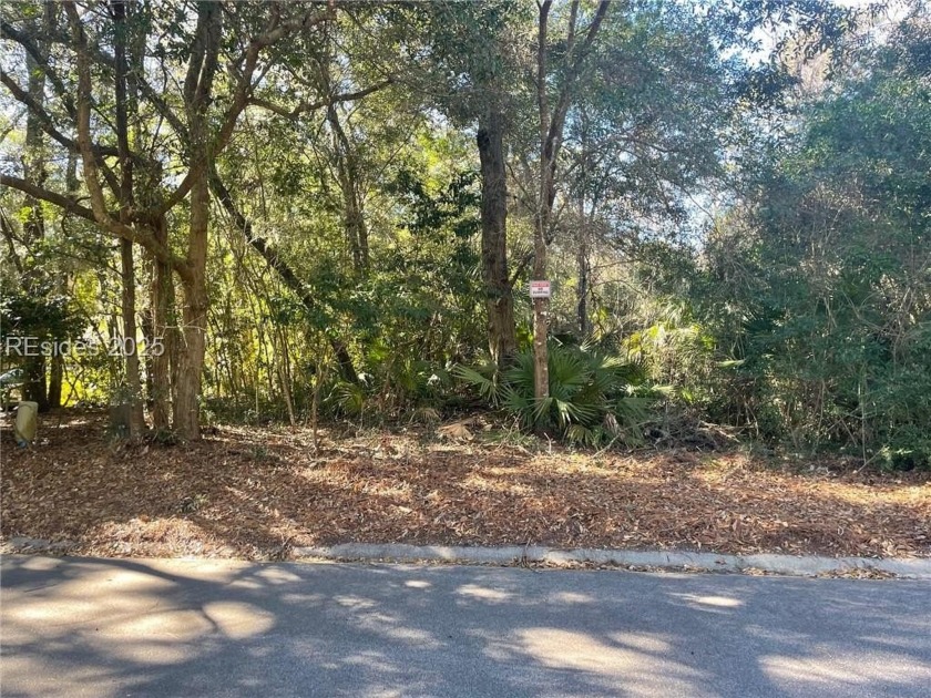 Don't miss the opportunity to own the only vacant lot available - Beach Lot for sale in Hilton Head Island, South Carolina on Beachhouse.com